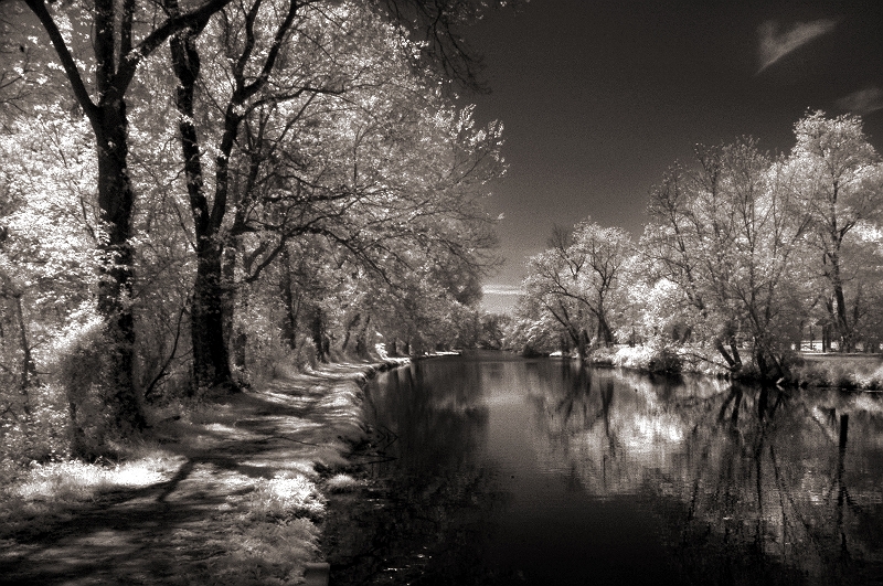 Canal View Schuylkill River Canal, Montclair, PA � Dave Hickey